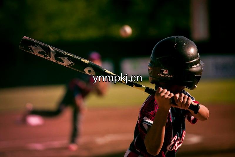 Baseball Pitch